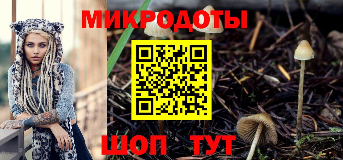 Псилоцибиновые грибы Magic Shrooms Мирный